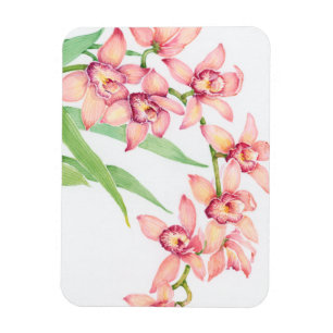 Vattenfärgsblommor, Rosa Magnet