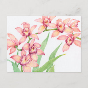 Vattenfärgsblommor, Rosa Vykort