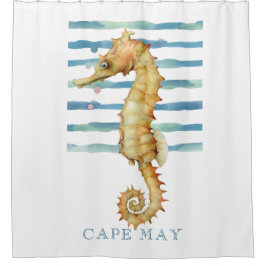 VATTENFÄRGSEAHORSE, BEACH, CAPE FÅR