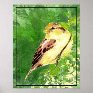 Vattenfärgsfärg på Sparrow Bird i Träd Poster