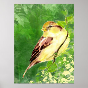 Vattenfärgsfärg på Sparrow Bird i Träd Poster