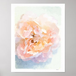 Vattenfärgsfärgning Rosa Peony poster konstutskrif