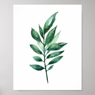 Vattenfärgsgrönt löv. Botaniska konst. Garden Poster