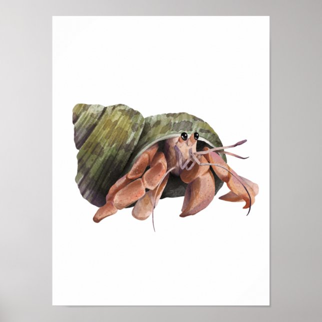 VattenfärgsHermit Crab Crustaceancore Poster (Framsidan)
