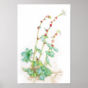Vattenfärgskonst i alpreua poster