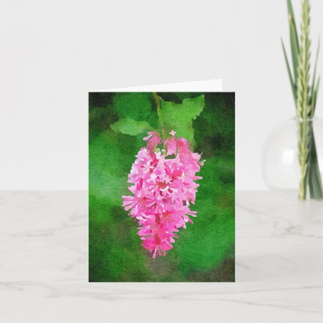 Vattenfärgskort med rosa syren kort (Framsida)