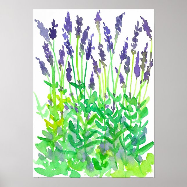 Vattenfärgslavender-Blomsterträdgård Poster (Framsidan)