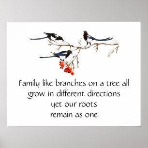 VattenfärgsMagpie-familjens animaliska art Poster