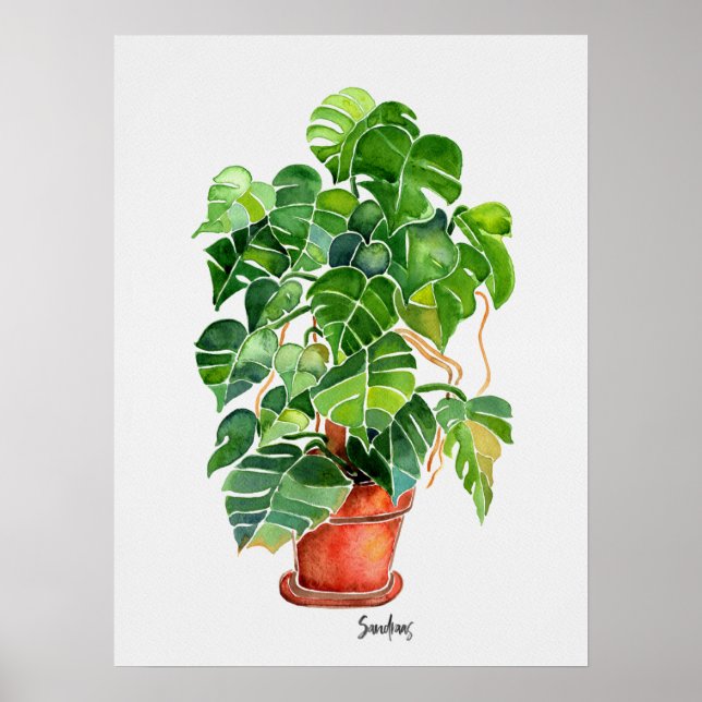 Vattenfärgsmonstera Plant i pot Poster (Framsidan)