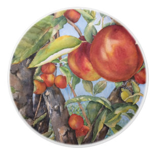 Vattenfärgspersika Träd orchard frukts Harvest Knopp