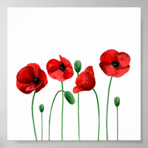 Vattenfärgspopior skriver ut Röda blommor Botanisk Poster