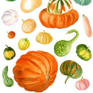 Vattenfärgspumpkin-sorter Kökshandduk