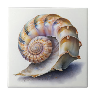 Vattenfärgsruta för Crowie Conch Snäcka Watercolor Kakelplatta