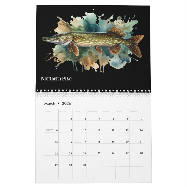 Vattenfärgsserie: Fish Aura 3-kalender Kalender (Mar 2026)