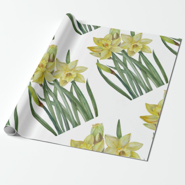 Vattenfärgsskikt Daffodils Flower Porträtt Illustr Presentpapper (Utrullad)