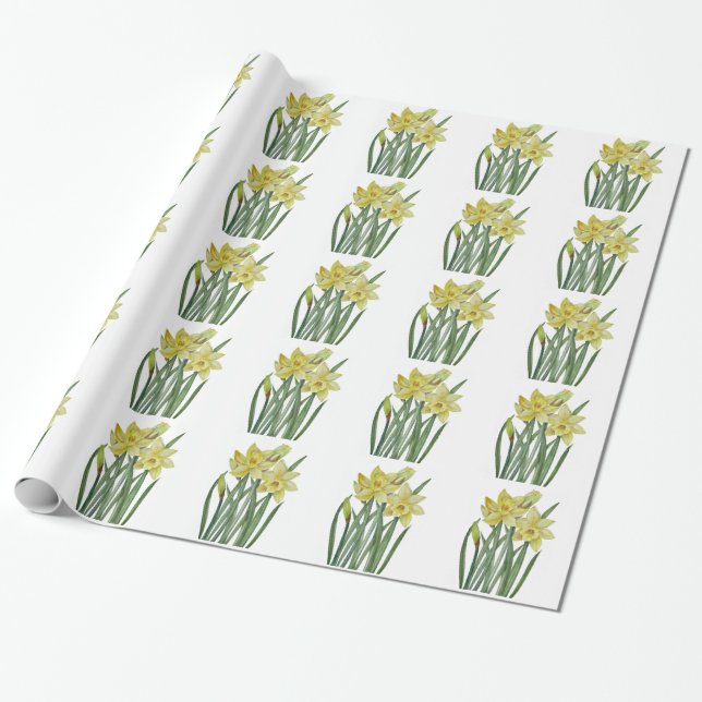 Vattenfärgsskikt Daffodils Flower Porträtt Illustr Presentpapper (Utrullad)