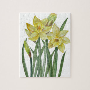 Vattenfärgsskikt Daffodils Flower Porträtt Illustr Pussel