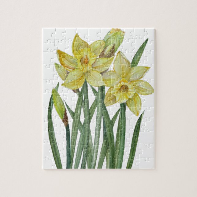Vattenfärgsskikt Daffodils Flower Porträtt Illustr Pussel (Vertikal)