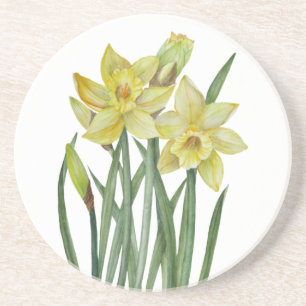 Vattenfärgsskikt Daffodils Flower Porträtt Illustr Underlägg