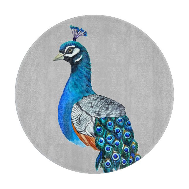 Vattenfärgssköldpadda (Framsidan)