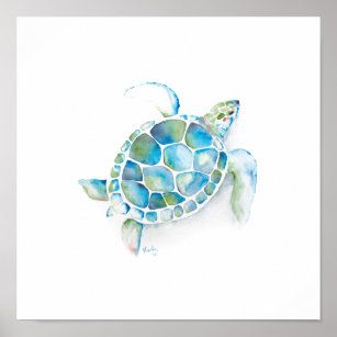 Vattenfärgssköldpadda Poster