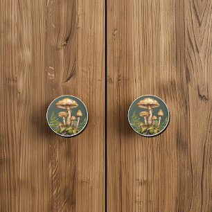 Vattenfärgssvampar Sten Ferns Knopp