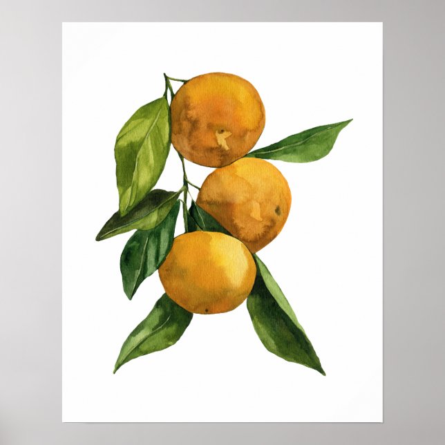 Vattenfärgstangeriner Organic Tangerines Poster (Framsidan)
