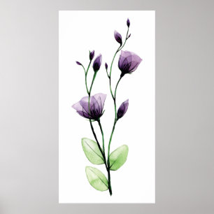 Vattenfärgstransparent vild ro-blomma poster