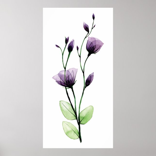 Vattenfärgstransparent vild ro-blomma poster (Framsidan)