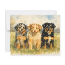 Vattenfärgstrio i Australian shepherd i Fält