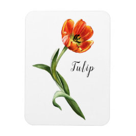 VattenfärgsTulip-Blommigt Magnet
