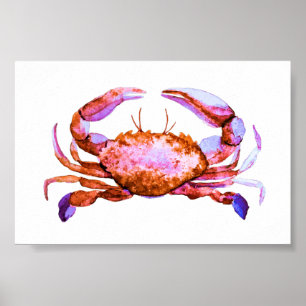 Vattenfärgsutskrift för Red Crab i liten ruta Poster