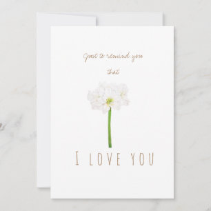 Vattenfärgsvit Amaryllis-blomstergratulationskort Inbjudningar