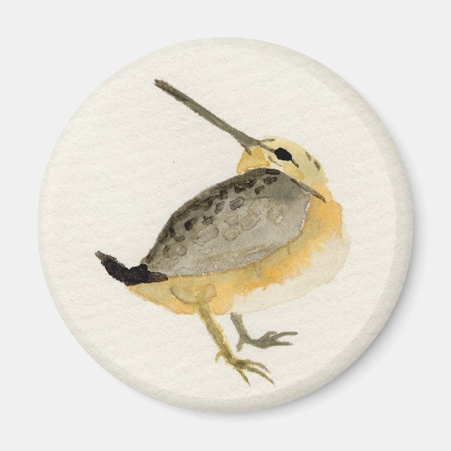 VattenfärgTimberdoodle målning Magnet (Framsidan)