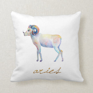 Vattenfärgväduren rammar kudde