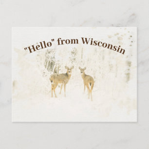 Vattenfärgvälkomnande till Wisconsin vit Tailed Vykort