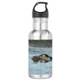 Vattenflaska av hamnsäl