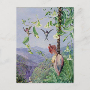 Vattenfoten i Morro Velho, Brasilien Marianne Nort Vykort