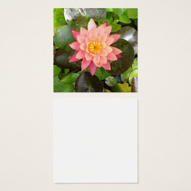 Vattenfritt foto av rosa fyrkantigt visitkort (Framsida & baksida)
