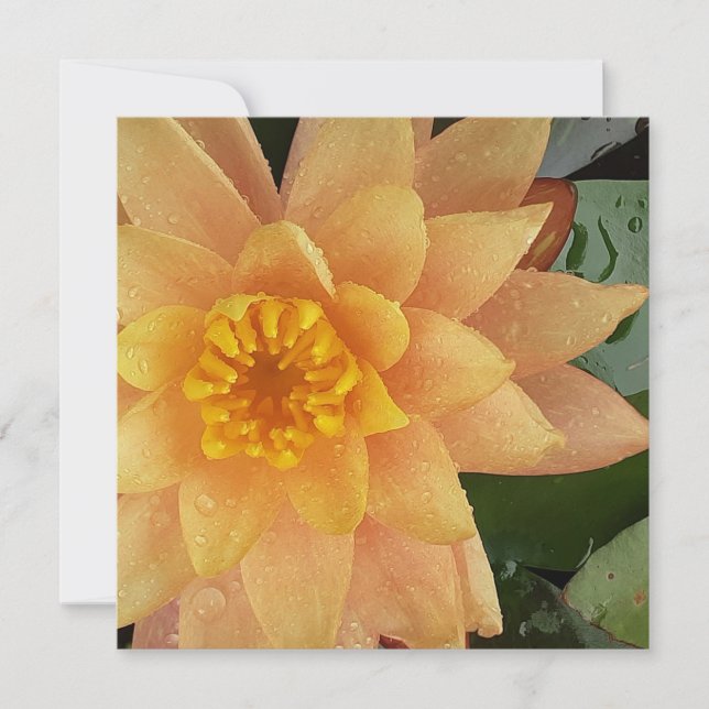 Vattenfritt hjärta kort (Framsida)