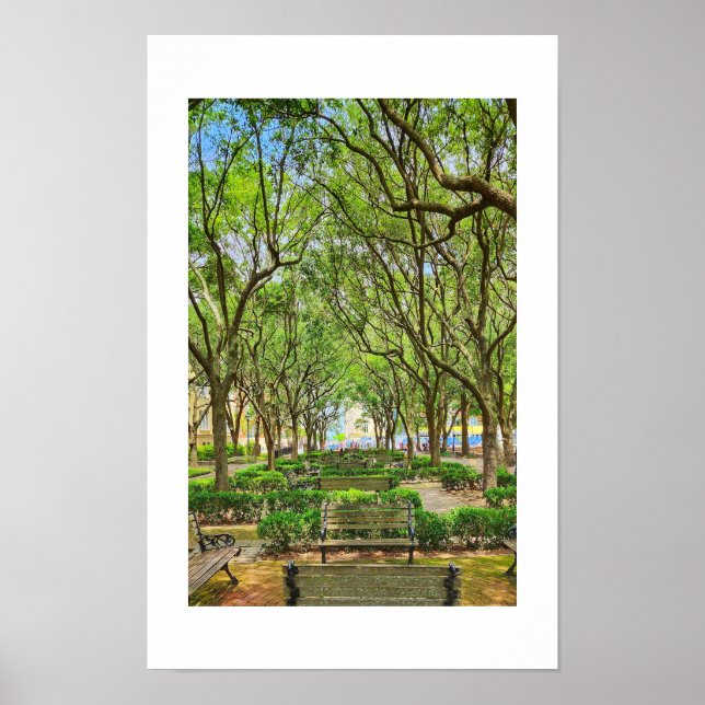 Vattenfront Park i Charleston, SC poster (Framsidan)