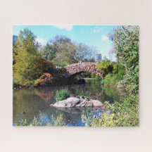 Vattenfunktion Central Park New York