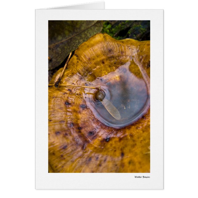 Vattenhandfat Hälsningskort (Framsidan)