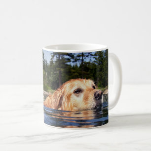 Vattenhund - muggar