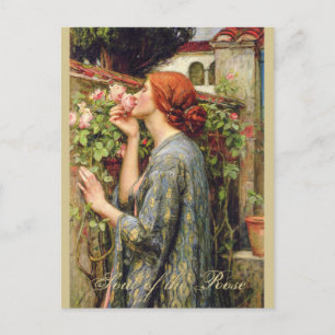 Vattenhus Soul of the Ro CC0737 Pre-Raphaelite Vykort