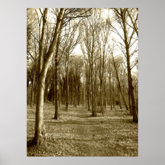 Vattenhus Wood Poster