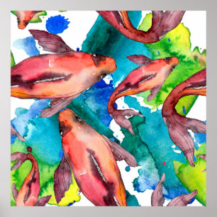 Vattenlevande fisk. Röda havet och exotiska fiskar Poster