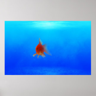 Vattenlevande undervattensPoster Poster