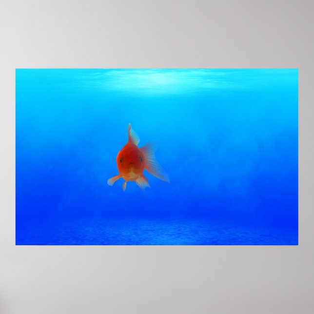 Vattenlevande undervattensPoster Poster (Framsidan)