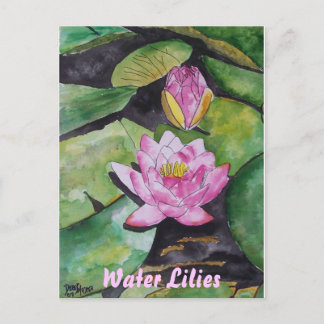 vattenlilja blomma, Vattenliljor Vykort